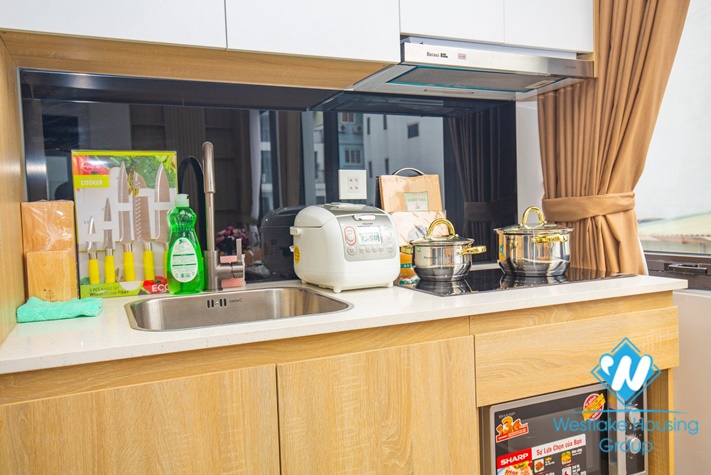 Modern 2 bedroom apartment for rent in Ling Lang st, Ba Dinh district.